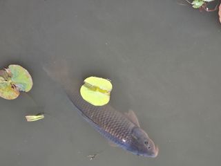 손병만님의 자유주제 · 자유게시판 작성글 사진