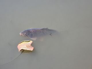 손병만님의 자유주제 · 자유게시판 작성글 사진