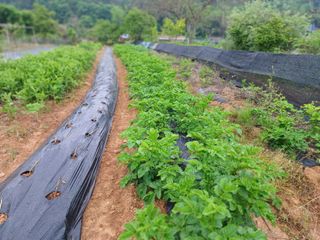 바람소리님의 기타작물 · 자유게시판 작성글 사진
