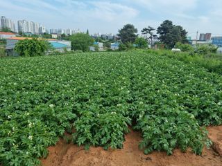 남종희님의 자유주제 · 자유게시판 작성글 사진