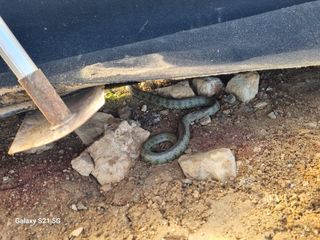 귀농대박님의 자유주제 · 자유게시판 작성글 사진