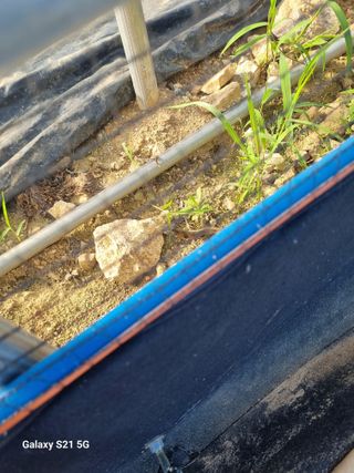 귀농대박님의 자유주제 · 자유게시판 작성글 사진