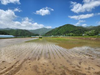 농부 임성훈님의 벼 · 영농일지 작성글 사진