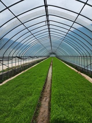 농부 임성훈님의 벼 · 영농일지 작성글 사진