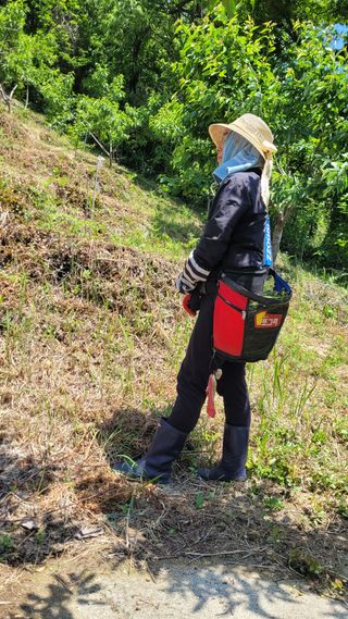 옥그린농장님의 자유주제 · 자유게시판 작성글 사진