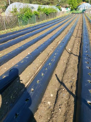 청주 미원 최재수님의 자유주제 · 자유게시판 작성글 사진