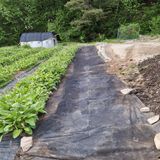 팜모닝 자유주제·자유게시판 게시글 이미지