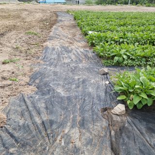 이종권님의 자유주제 · 자유게시판 작성글 사진