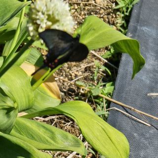 이종권님의 자유주제 · 자유게시판 작성글 사진