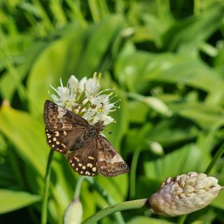 이종권님의 자유주제 · 자유게시판 작성글 사진