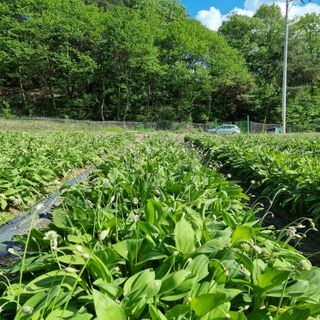 이종권님의 자유주제 · 자유게시판 작성글 사진