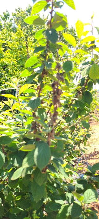 윤양현님의 자유주제 · 자유게시판 작성글 사진