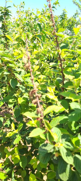 윤양현님의 자유주제 · 자유게시판 작성글 사진