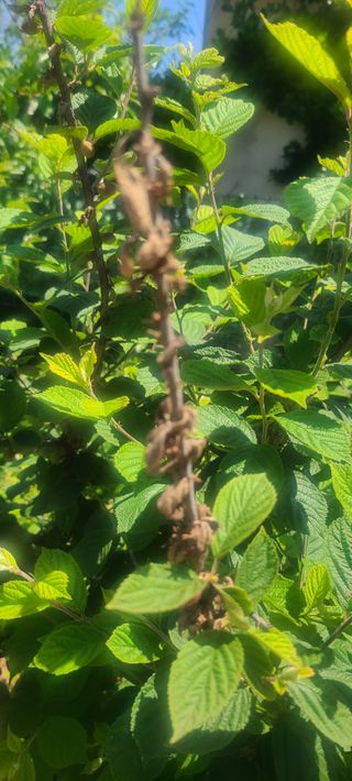 윤양현님의 자유주제 · 자유게시판 작성글 사진