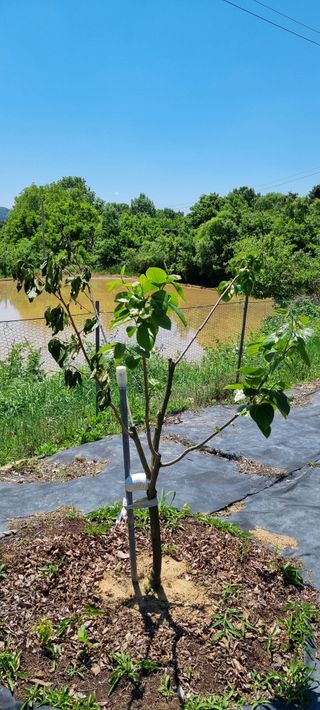 윤섭님의 5월 내 작물 자랑하기 · 참여글 작성글 사진