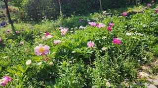 배추11102님의 자유주제 · 사진전 작성글 사진