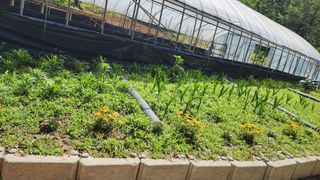 배추11102님의 자유주제 · 사진전 작성글 사진