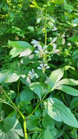 팜모닝 자유주제·자유게시판 게시글 이미지