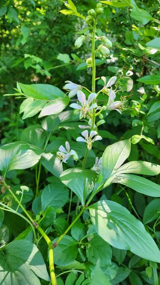 배추11102님의 자유주제 · 자유게시판 작성글 사진