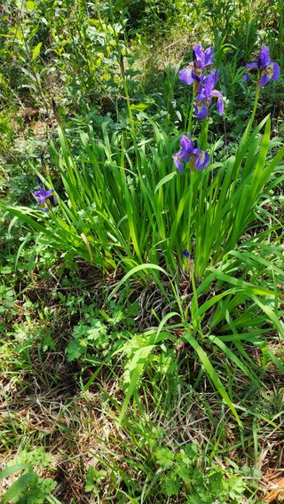 배추11102님의 자유주제 · 자유게시판 작성글 사진