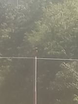 팜모닝 자유주제·자유게시판 게시글 이미지