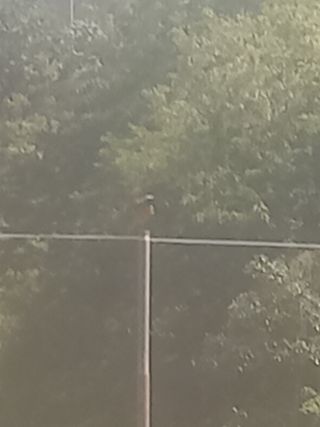 알 수 없음님의 자유주제 · 자유게시판 작성글 사진