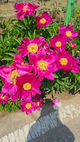 팜모닝 자유주제·사진전 게시글 이미지