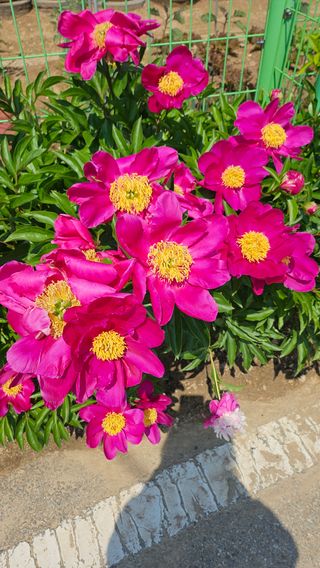 서연님의 자유주제 · 사진전 작성글 사진