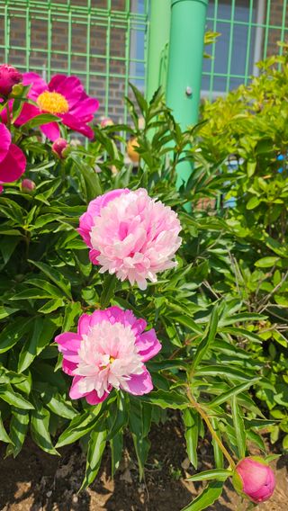 서연님의 자유주제 · 사진전 작성글 사진