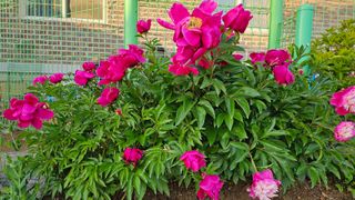 서연님의 자유주제 · 사진전 작성글 사진