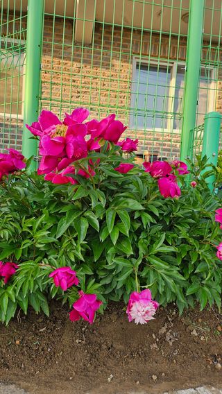 서연님의 자유주제 · 사진전 작성글 사진