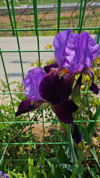 서연님의 자유주제 · 사진전 작성글 사진