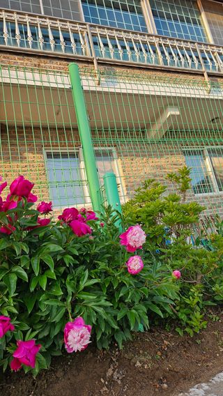 서연님의 자유주제 · 사진전 작성글 사진