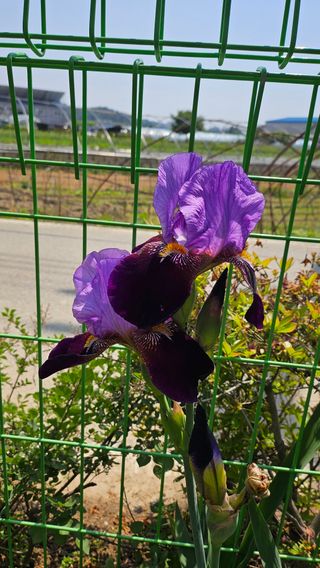 서연님의 자유주제 · 사진전 작성글 사진