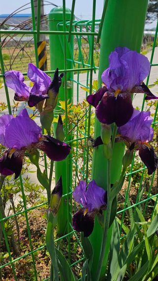 서연님의 자유주제 · 사진전 작성글 사진