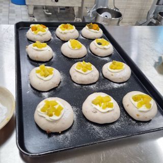 양배추15487님의 자유주제 · 자유게시판 작성글 사진