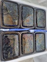 팜모닝 자유주제·자유게시판 게시글 이미지