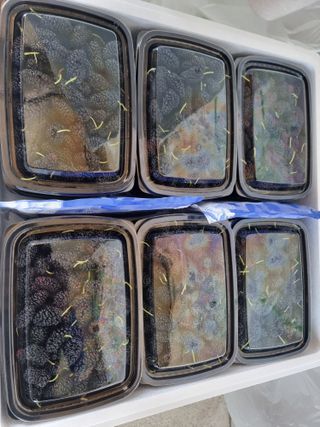 정영기대산축산농부♡님의 자유주제 · 자유게시판 작성글 사진