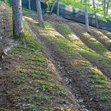 팜모닝 5월 내 작물 자랑하기·참여글 게시글 이미지