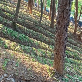 이광진님의 5월 내 작물 자랑하기 · 참여글 작성글 사진