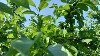 대지털님의 자유주제 · 자유게시판 작성글 사진