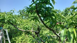 대지털님의 자유주제 · 자유게시판 작성글 사진