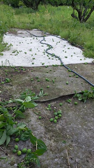 대지털님의 자유주제 · 자유게시판 작성글 사진