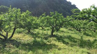 대지털님의 자유주제 · 자유게시판 작성글 사진