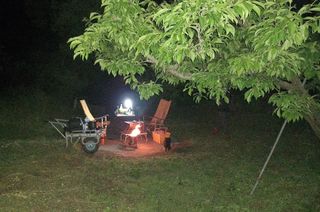 대지털님의 자유주제 · 자유게시판 작성글 사진