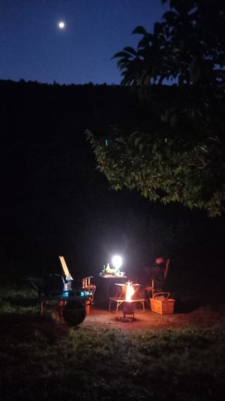 대지털님의 자유주제 · 자유게시판 작성글 사진