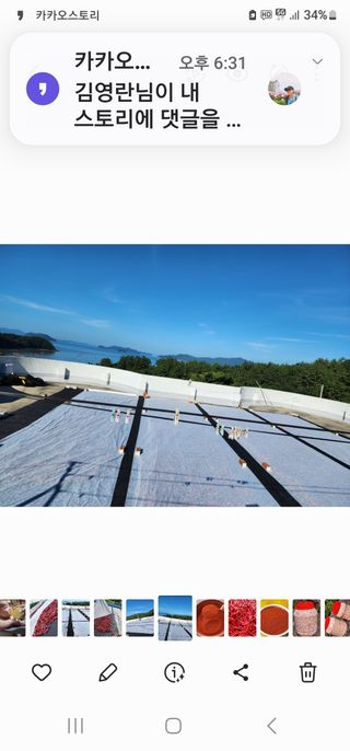 고추농사 정 미라님의 자유주제 · 자유게시판 작성글 사진