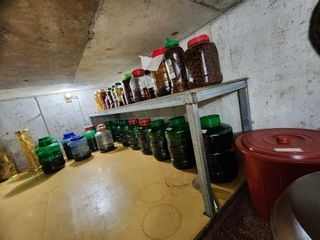 고추농사 정 미라님의 자유주제 · 자유게시판 작성글 사진