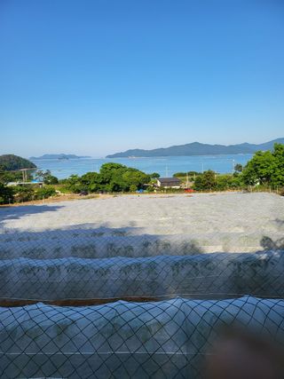 고추농사 정 미라님의 자유주제 · 자유게시판 작성글 사진