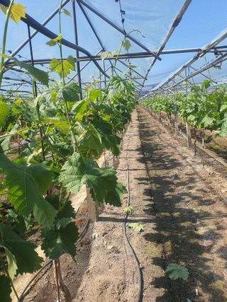 문순이님의 자유주제 · 자유게시판 작성글 사진